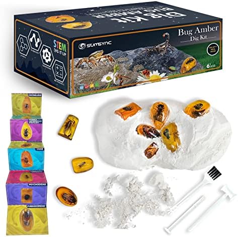 Комплект за разкопки на Амбър - Изравят 9 Проби насекоми, Журналистика, Наука, Обучение на Възрастни, Играчки